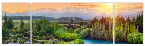 Obraz - Lesní horská krajina (170x50 cm)