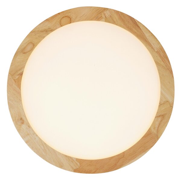 STROPNÍ LED SVÍTIDLO, 40/5 cm Novel - Stropní svítidla