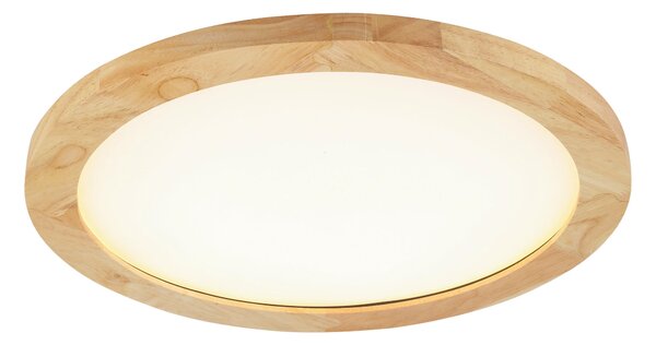 STROPNÍ LED SVÍTIDLO, 40/5 cm Novel - Stropní svítidla