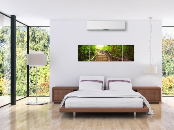 Obraz - Schody v přírodě (170x50 cm)