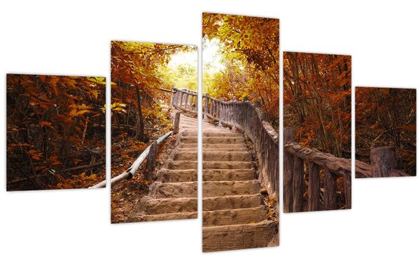 Obraz - Schody v přírodě na podzim (125x70 cm)