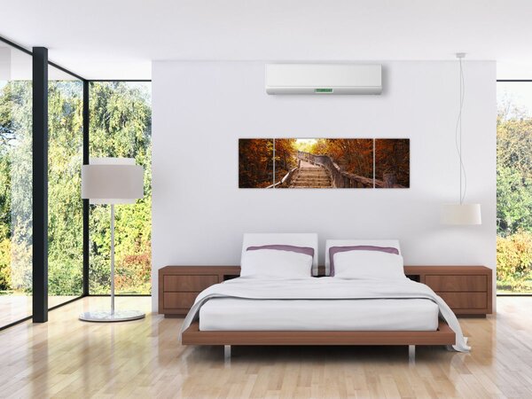 Obraz - Schody v přírodě na podzim (170x50 cm)