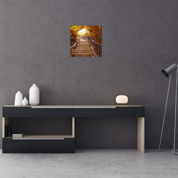 Obraz - Schody v přírodě na podzim (30x30 cm)