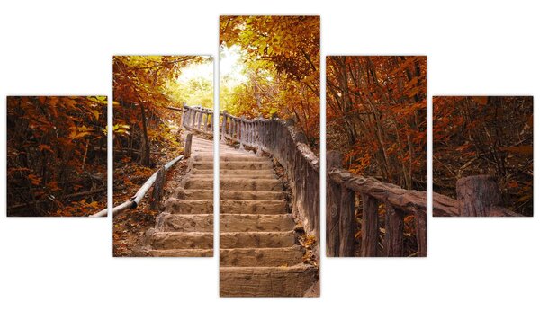Obraz - Schody v přírodě na podzim (125x70 cm)