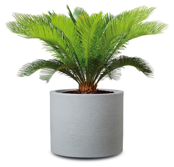 Scheurich Květináč Riva (Stony Grey, Ø 50 cm) (100349892003)