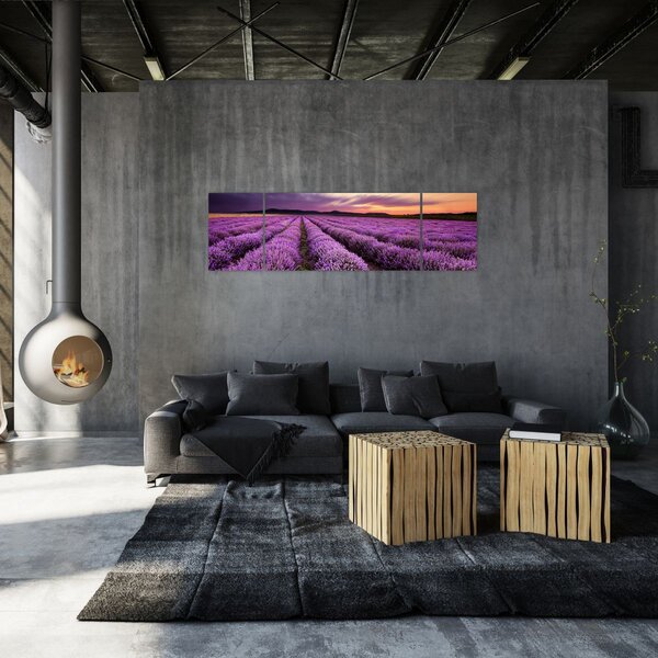Obraz - Levandulové pole při západu slunce (170x50 cm)