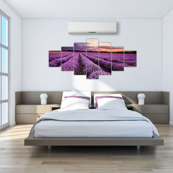 Obraz - Levandulové pole při západu slunce (210x100 cm)