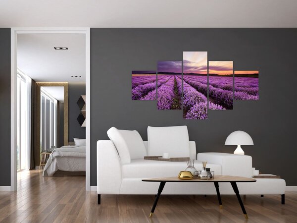 Obraz - Levandulové pole při západu slunce (125x70 cm)