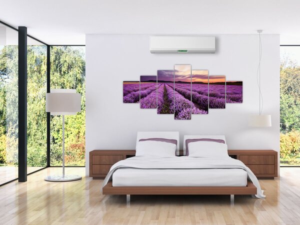 Obraz - Levandulové pole při západu slunce (210x100 cm)