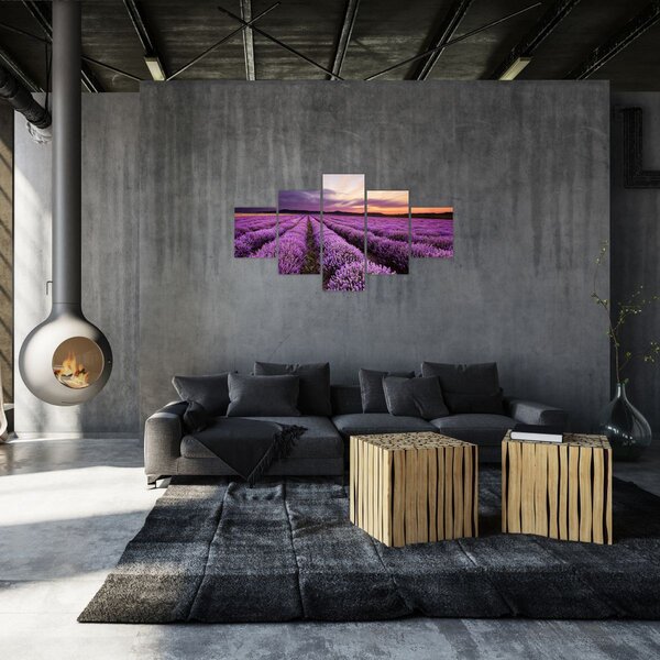 Obraz - Levandulové pole při západu slunce (125x70 cm)