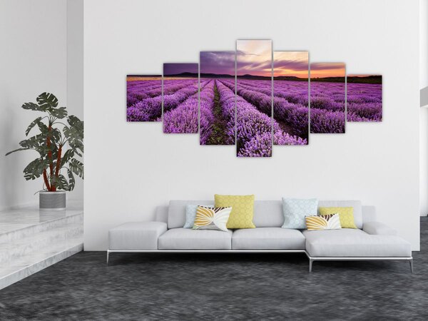 Obraz - Levandulové pole při západu slunce (210x100 cm)