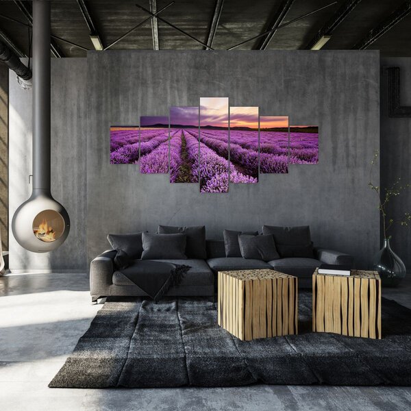 Obraz - Levandulové pole při západu slunce (210x100 cm)