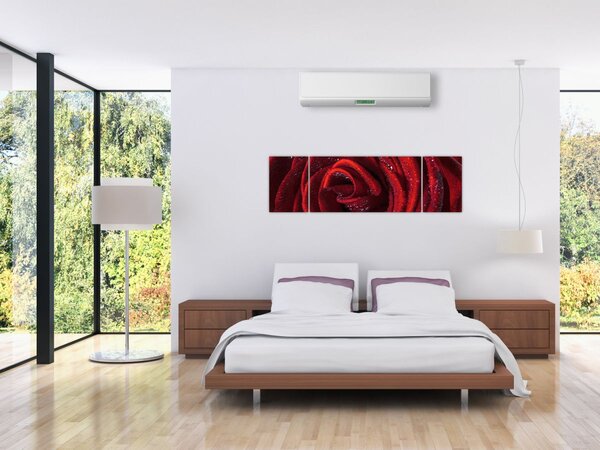 Obraz - Červená růže s kapkami rosy (170x50 cm)