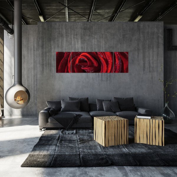 Obraz - Červená růže s kapkami rosy (170x50 cm)