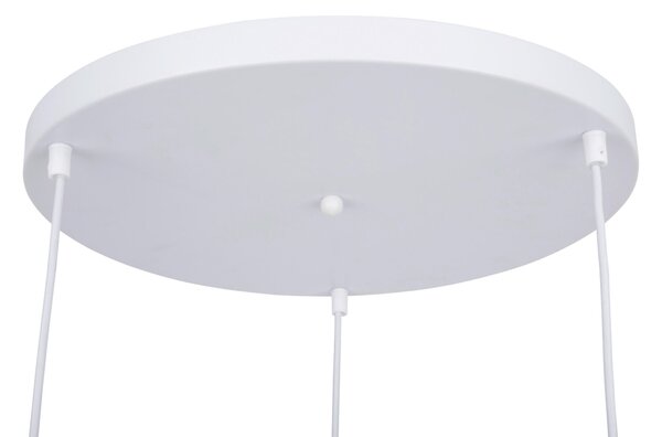 ZÁVĚSNÉ SVÍTIDLO, 40/120 cm Collett's Monde - Online Only svítidla, Online Only