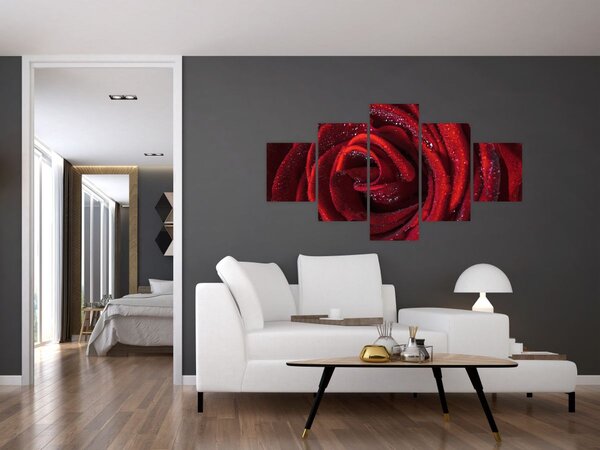 Obraz - Červená růže s kapkami rosy (125x70 cm)