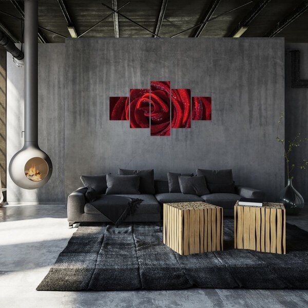 Obraz - Červená růže s kapkami rosy (125x70 cm)