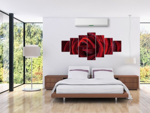 Obraz - Červená růže s kapkami rosy (210x100 cm)