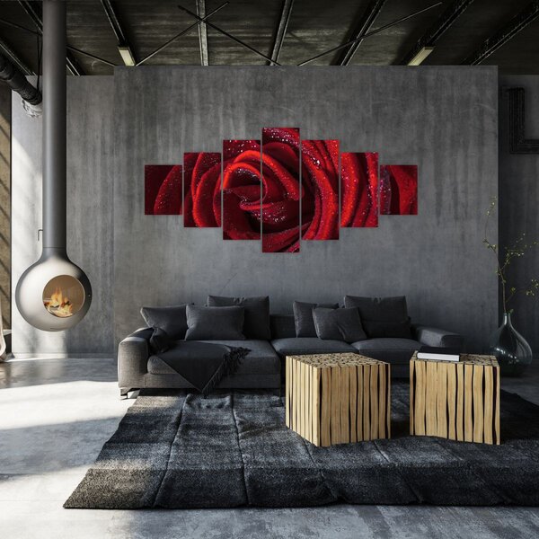 Obraz - Červená růže s kapkami rosy (210x100 cm)