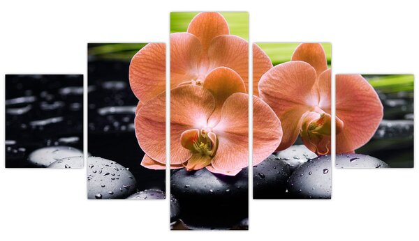 Obraz - Oranžová orchidej s palmovými listy (125x70 cm)