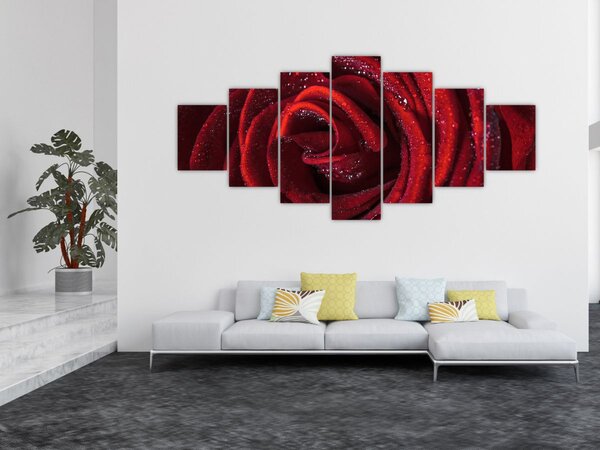 Obraz - Červená růže s kapkami rosy (210x100 cm)