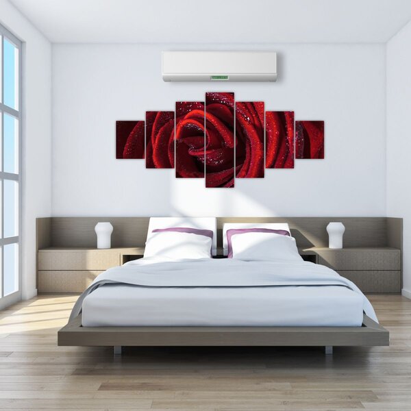 Obraz - Červená růže s kapkami rosy (210x100 cm)