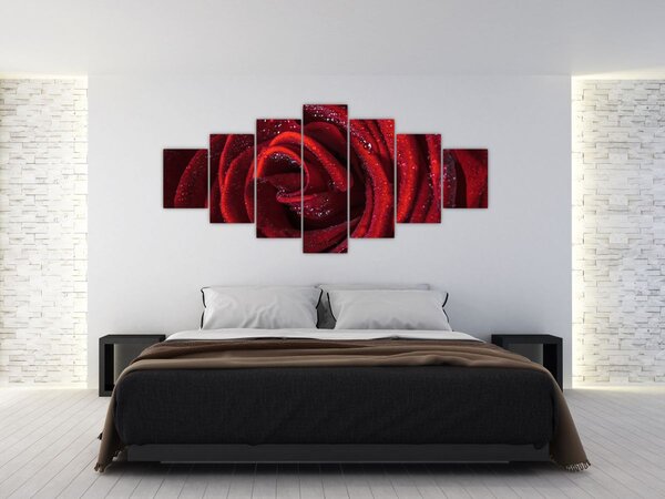 Obraz - Červená růže s kapkami rosy (210x100 cm)
