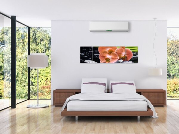 Obraz - Oranžová orchidej s palmovými listy (170x50 cm)