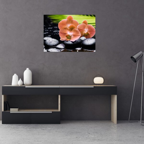 Obraz - Oranžová orchidej s palmovými listy (70x50 cm)