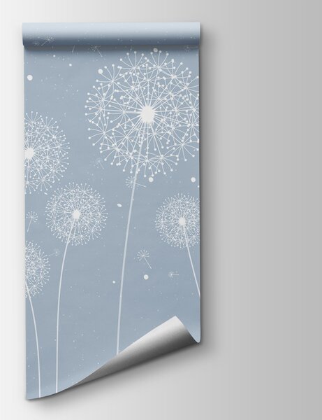 Fototapeta Bílé pampelišky na modrém pozadí, Přírodní fototapety, Populární fototapety, w00754v3 - Tapeko.co.cz
