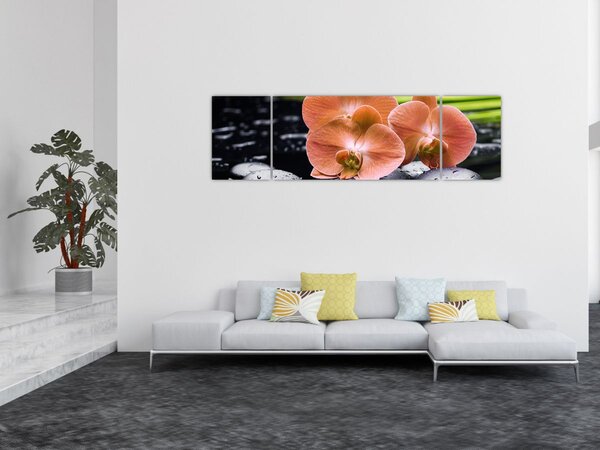 Obraz - Oranžová orchidej s palmovými listy (170x50 cm)