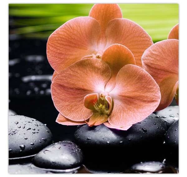 Obraz - Oranžová orchidej s palmovými listy (30x30 cm)