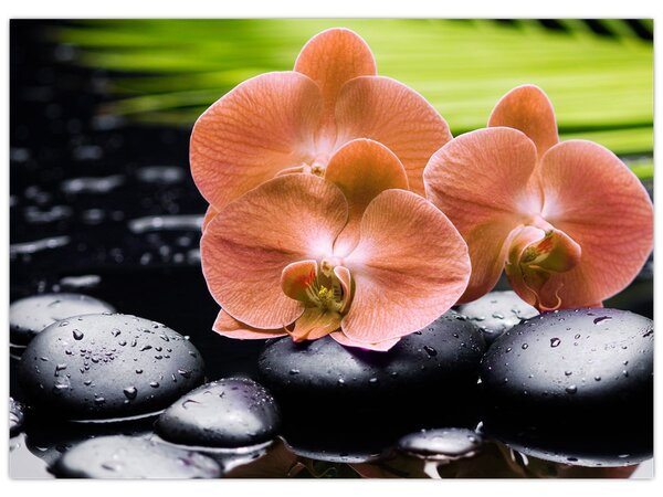 Obraz - Oranžová orchidej s palmovými listy (70x50 cm)