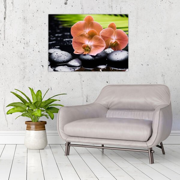 Obraz - Oranžová orchidej s palmovými listy (70x50 cm)