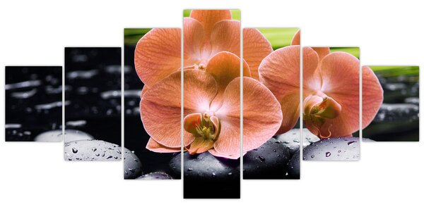 Obraz - Oranžová orchidej s palmovými listy (210x100 cm)