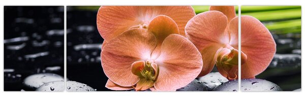 Obraz - Oranžová orchidej s palmovými listy (170x50 cm)