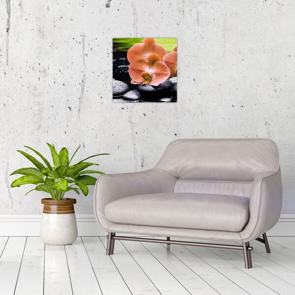 Obraz - Oranžová orchidej s palmovými listy (30x30 cm)