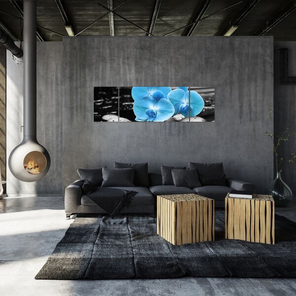 Obraz - Modrá orchidej (170x50 cm)