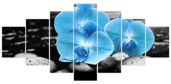 Obraz - Modrá orchidej (210x100 cm)
