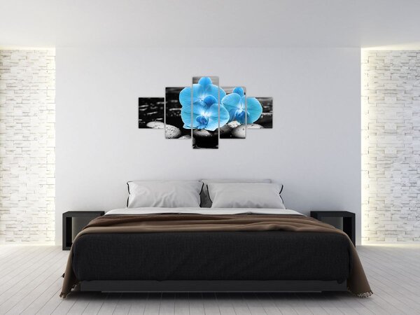 Obraz - Modrá orchidej (125x70 cm)
