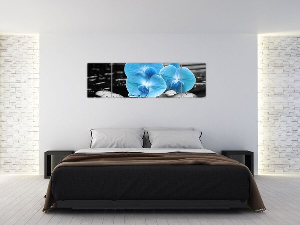 Obraz - Modrá orchidej (170x50 cm)