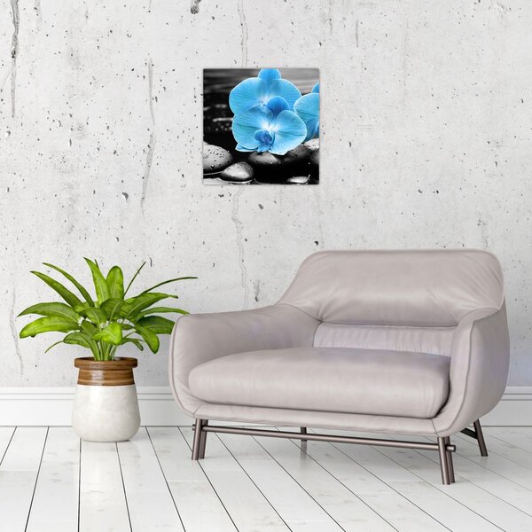 Obraz - Modrá orchidej (30x30 cm)