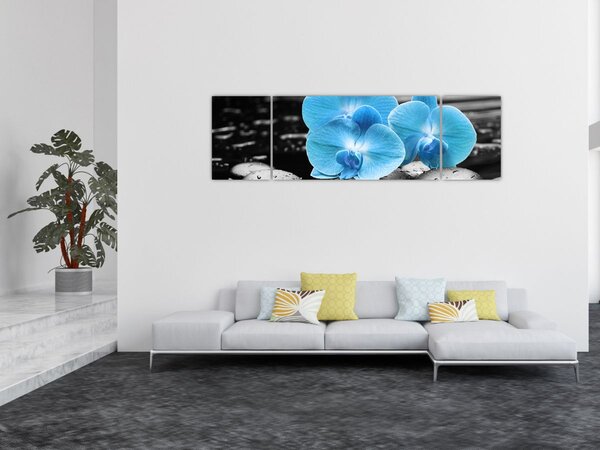 Obraz - Modrá orchidej (170x50 cm)