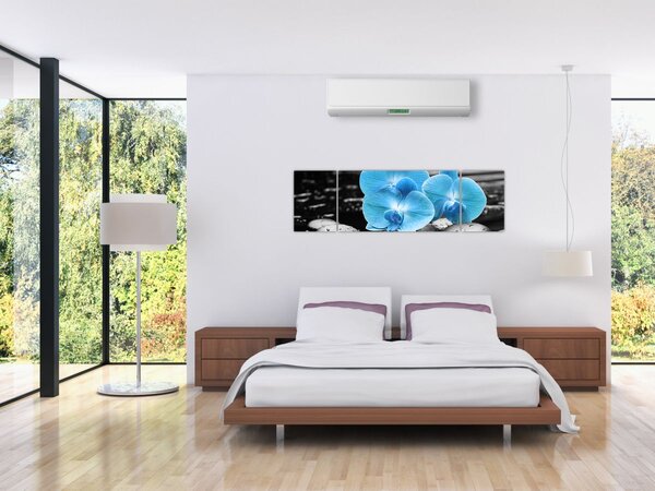 Obraz - Modrá orchidej (170x50 cm)