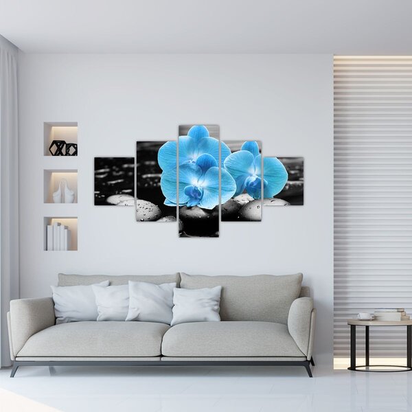Obraz - Modrá orchidej (125x70 cm)