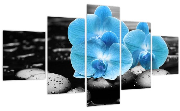 Obraz - Modrá orchidej (125x70 cm)