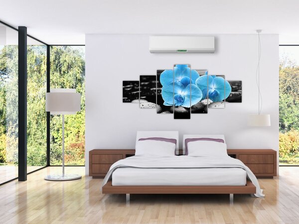 Obraz - Modrá orchidej (210x100 cm)
