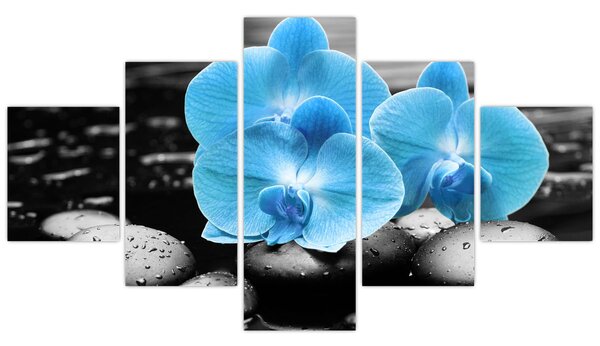 Obraz - Modrá orchidej (125x70 cm)