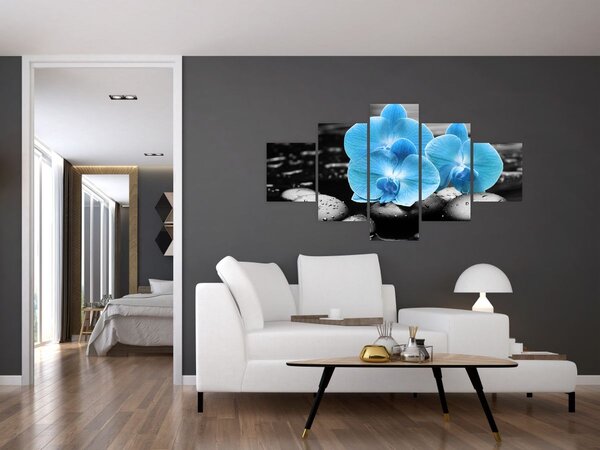 Obraz - Modrá orchidej (125x70 cm)