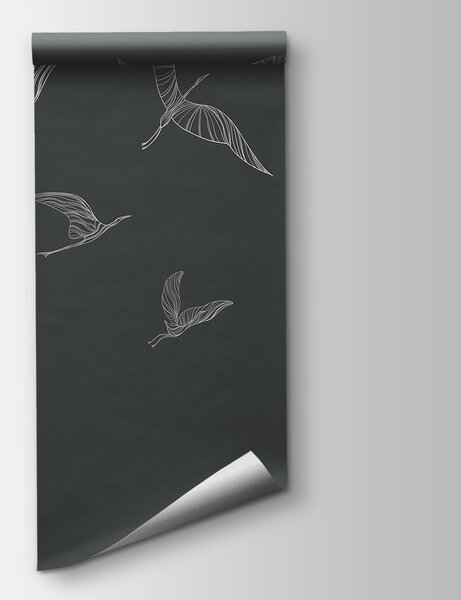 Fototapeta Skupina letících ptáků, Přírodní fototapety, Populární fototapety, w00758v3 - Tapeko.co.cz